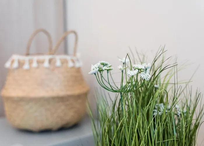 Guestready - Oportogrow Batalha 2 * Porto