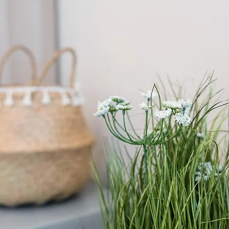 Guestready - Oportogrow Batalha 2 * ポルト